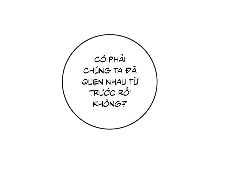 Ám Hắc Hệ Noãn Hôn Chapter 86 - Trang 4