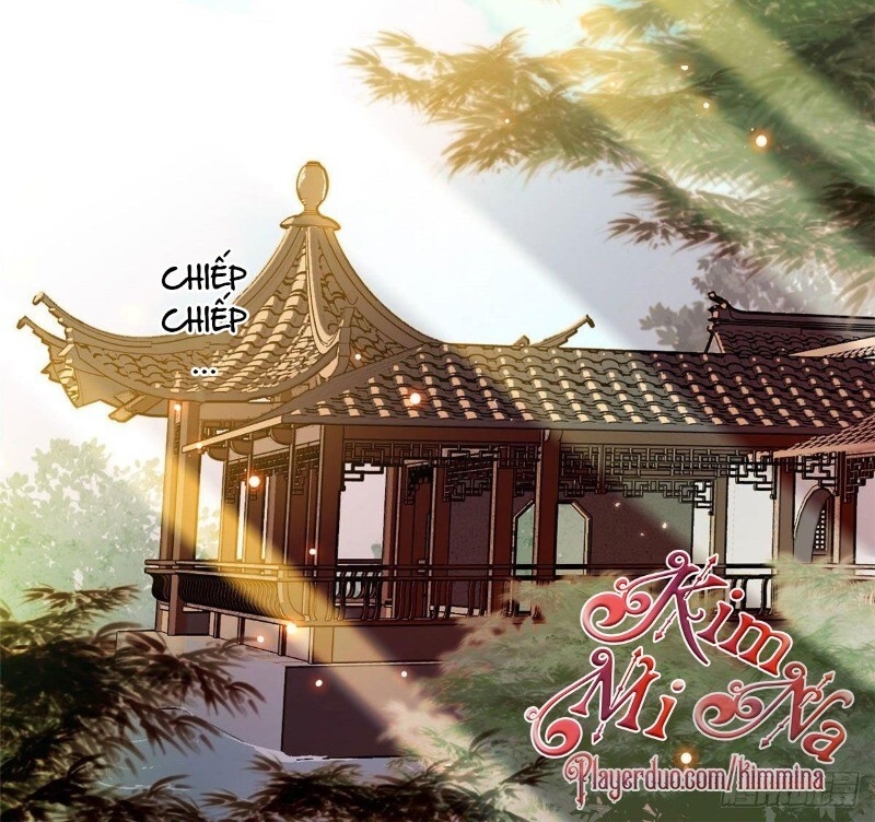 Tự Cẩm Chapter 41 - Trang 3