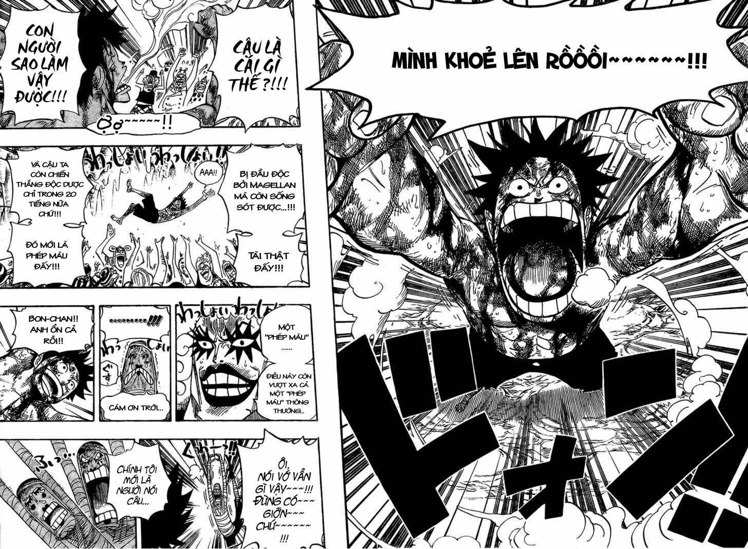 One Piece Chapter 539 - Next Chapter 540