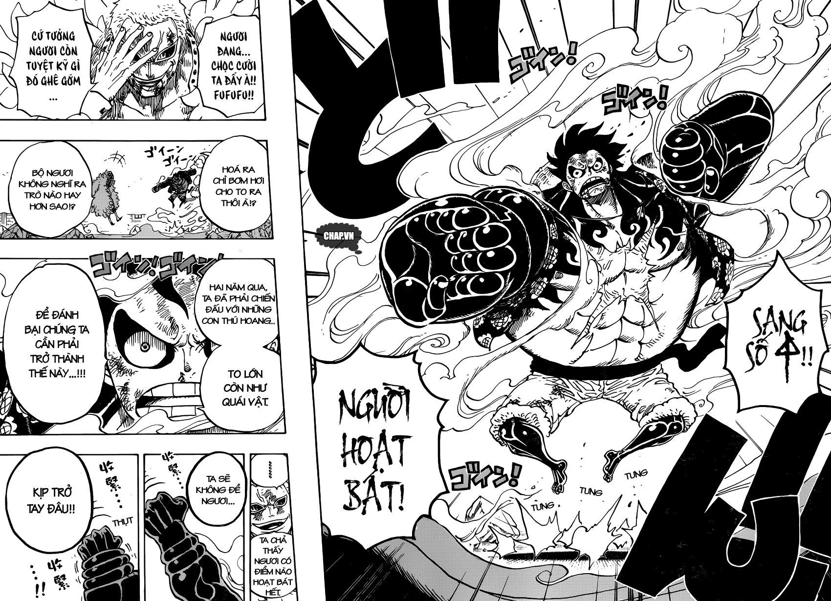 One Piece Chapter 784 - Trang 3