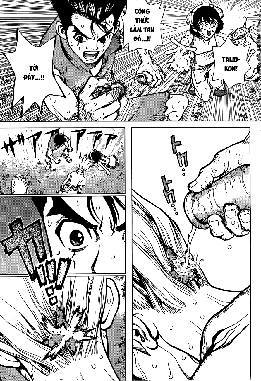 Dr.stone Chapter 12 - Next 