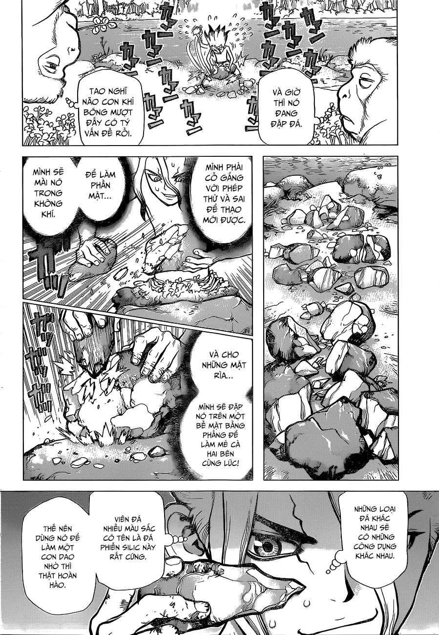 Dr.stone Chapter 13 - Next 