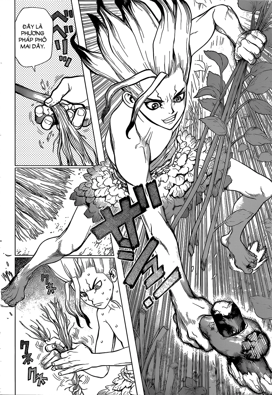 Dr.stone Chapter 13 - Next 