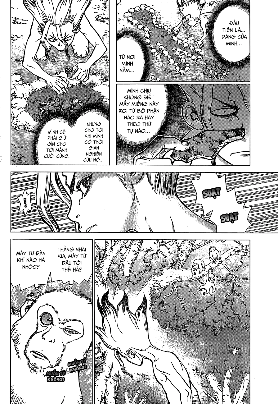 Dr.stone Chapter 13 - Next 