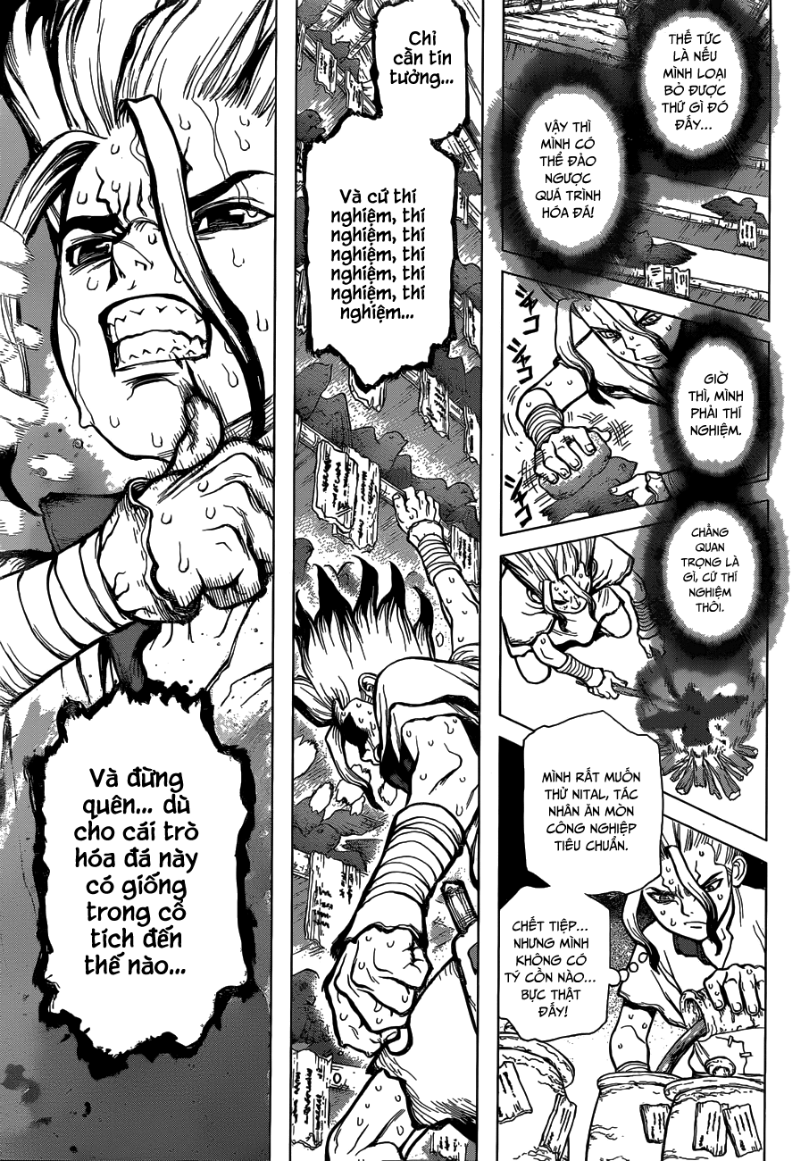 Dr.stone Chapter 14 - Next 