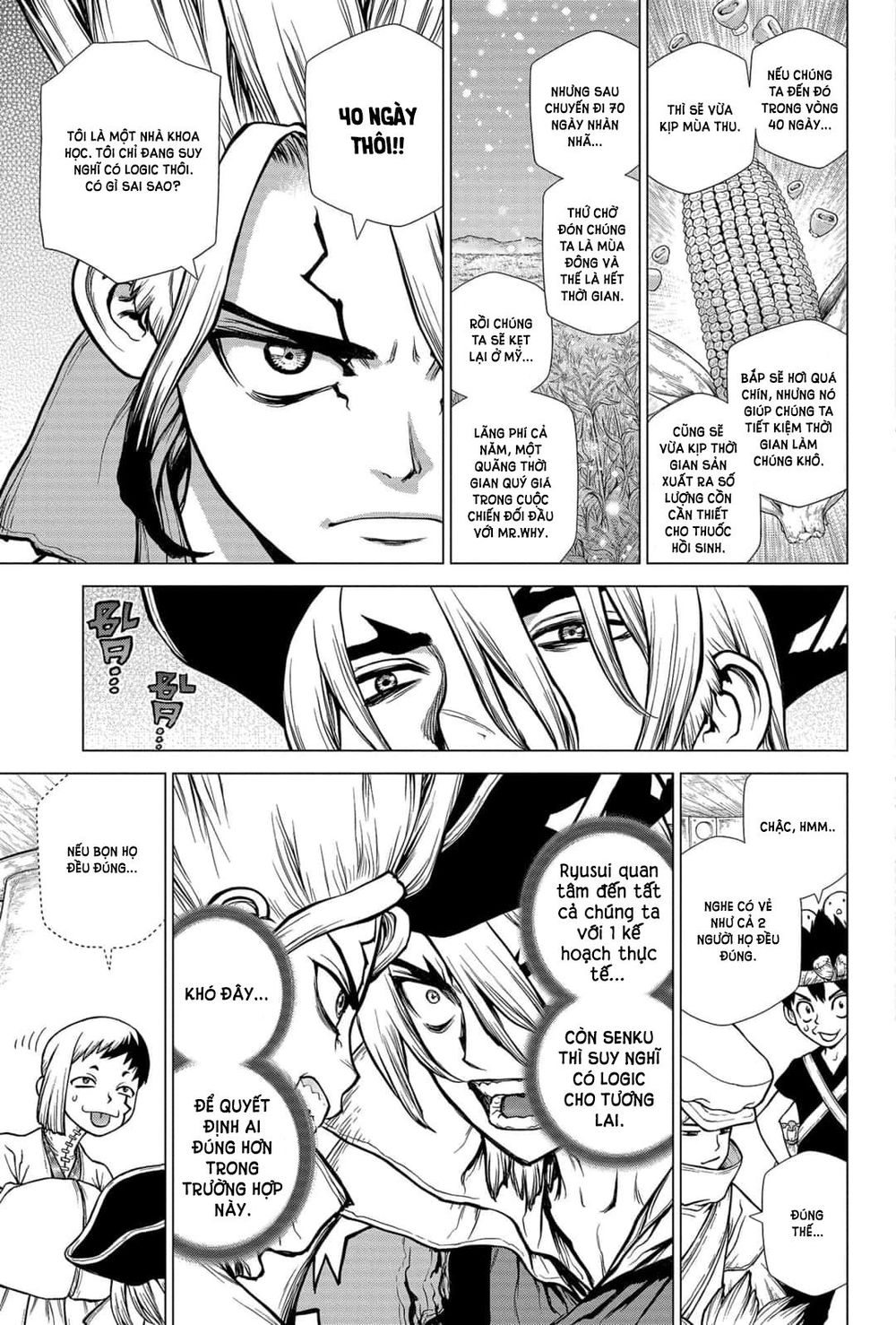 Dr.stone Chapter 143 - Next 