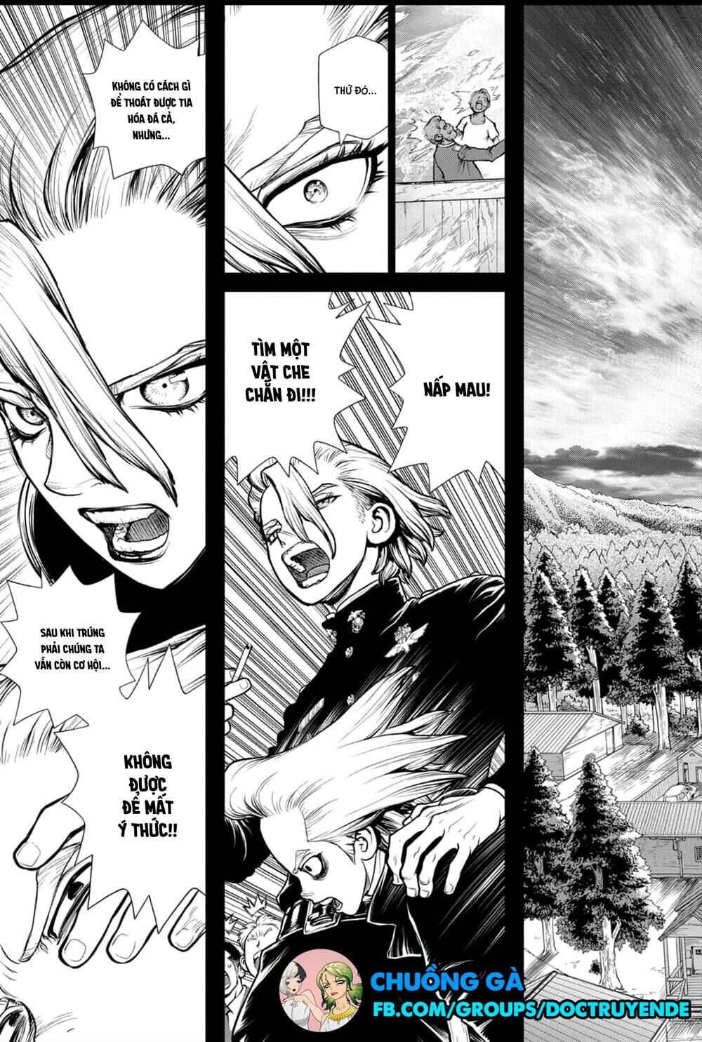 Dr.stone Chapter 157 - Next 