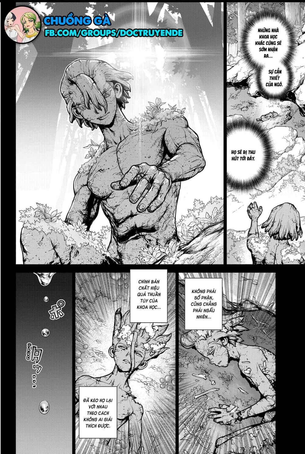 Dr.stone Chapter 157 - Next 