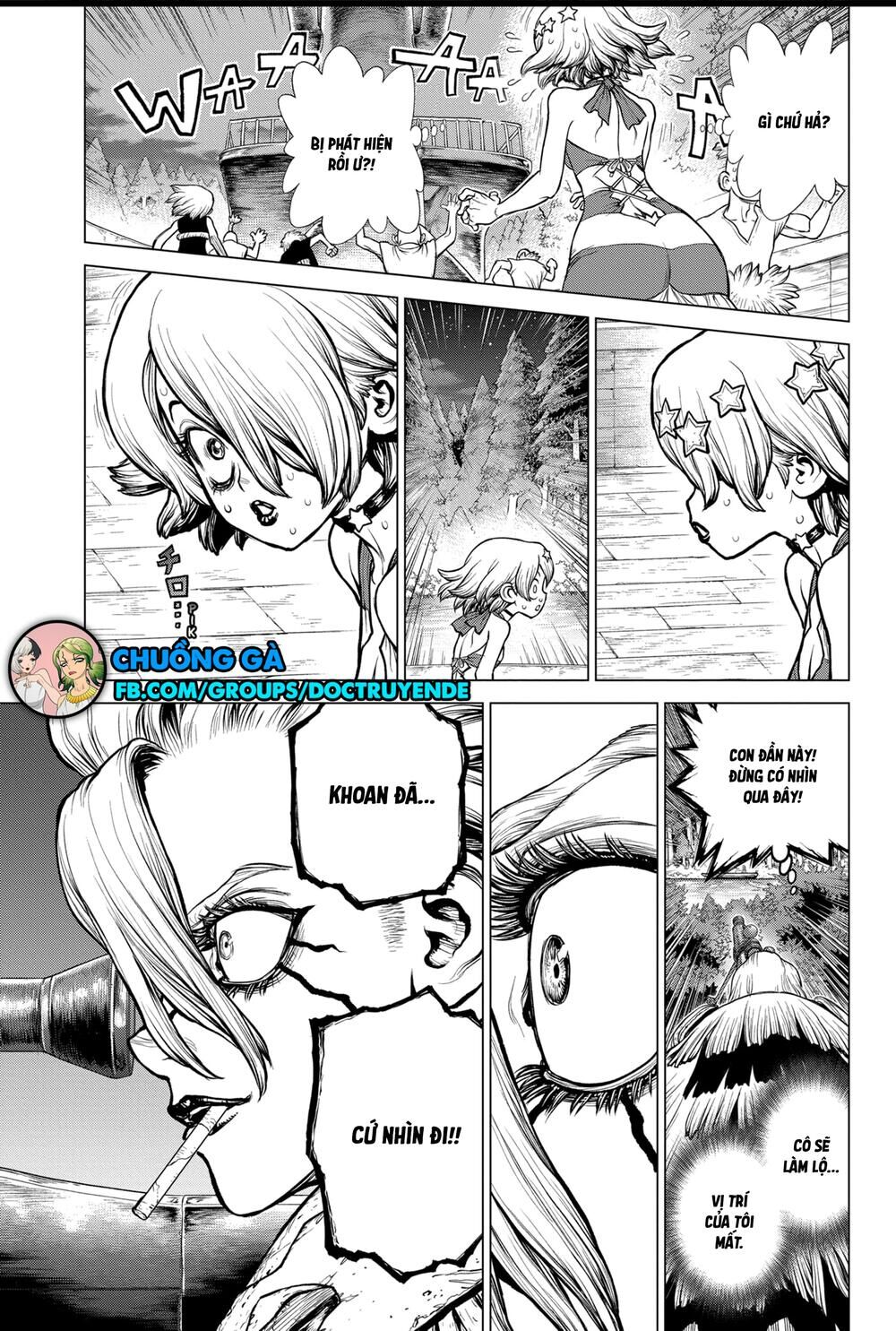 Dr.stone Chapter 159 - Next 