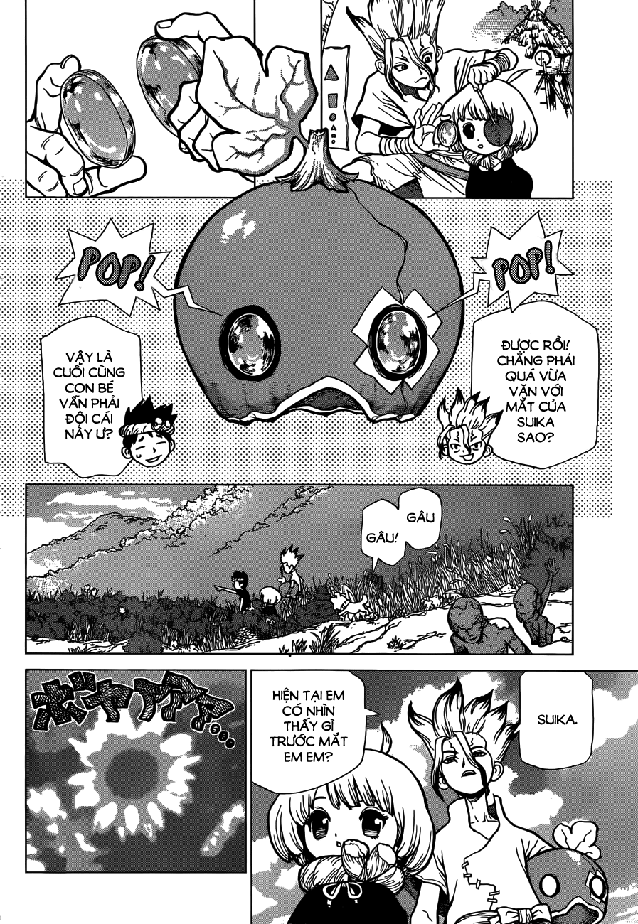 Dr.stone Chapter 28 - Next 