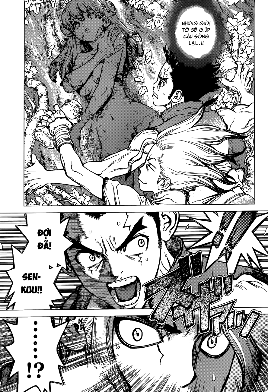 Dr.stone Chapter 3 - Next 