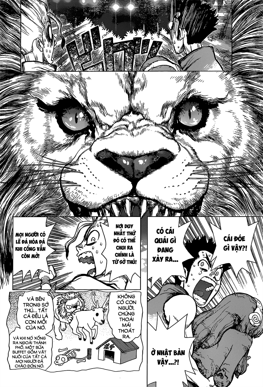 Dr.stone Chapter 3 - Next 