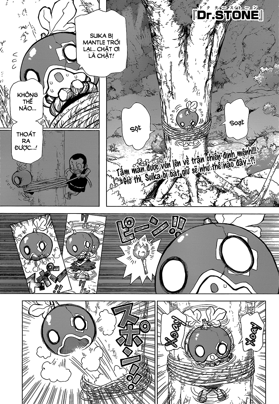 Dr.stone Chapter 35 - Next 