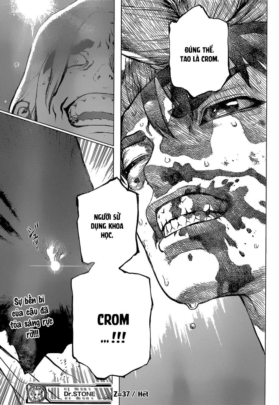 Dr.stone Chapter 37 - Next 