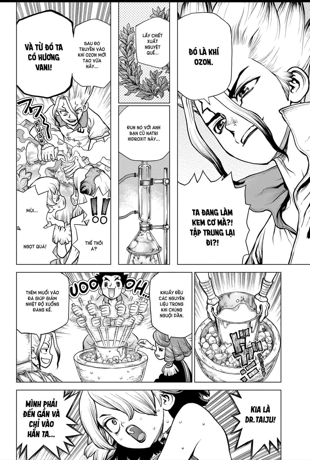 Dr.stone Chapter 155 - Next 