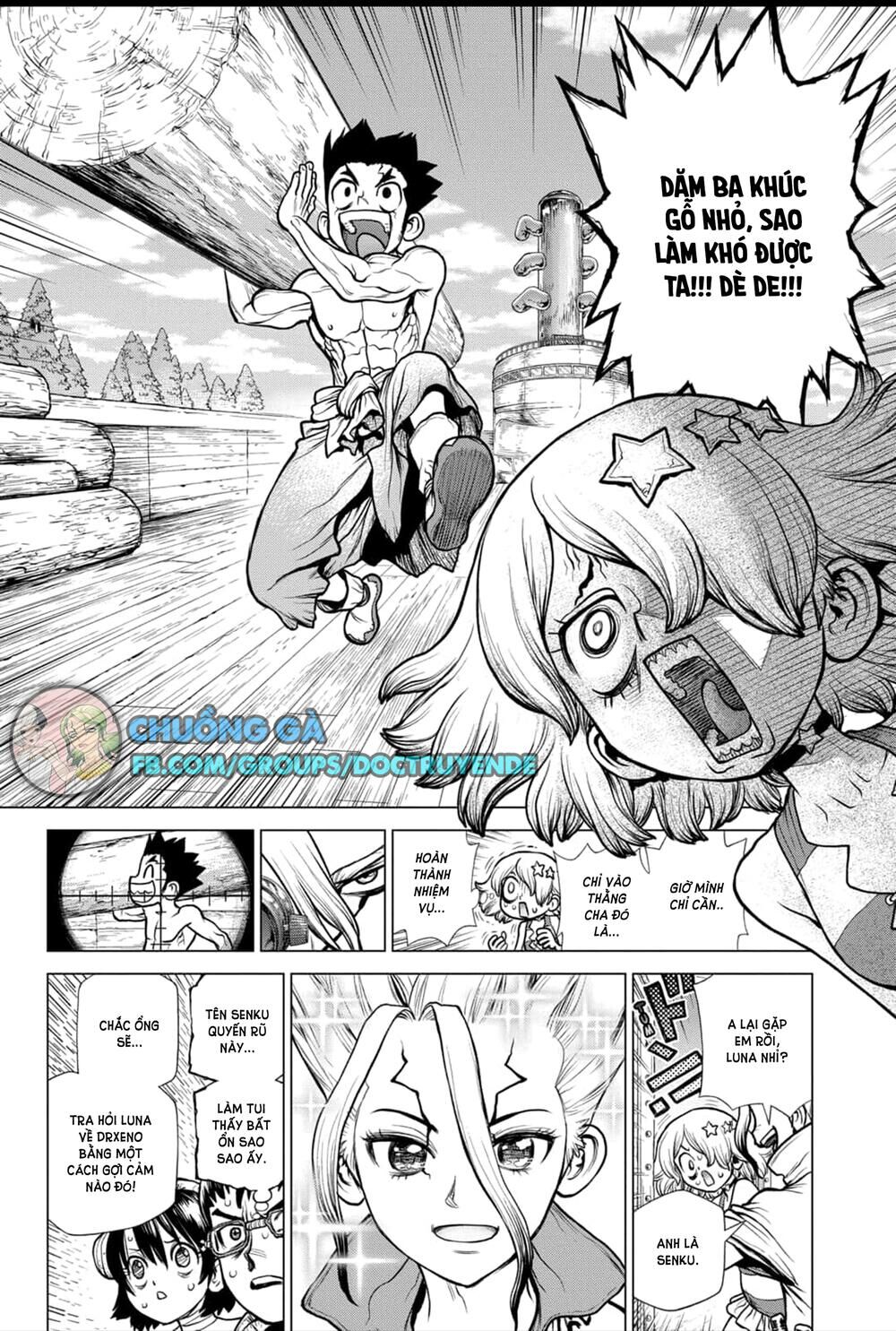 Dr.stone Chapter 155 - Next 