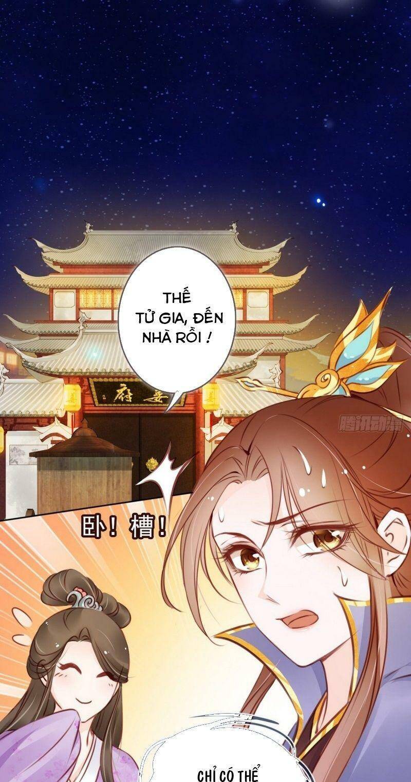 Nàng Trở Thành Bạch Nguyệt Quang Của Vương Gia Bệnh Kiều Chapter 16 - Next Chapter 18