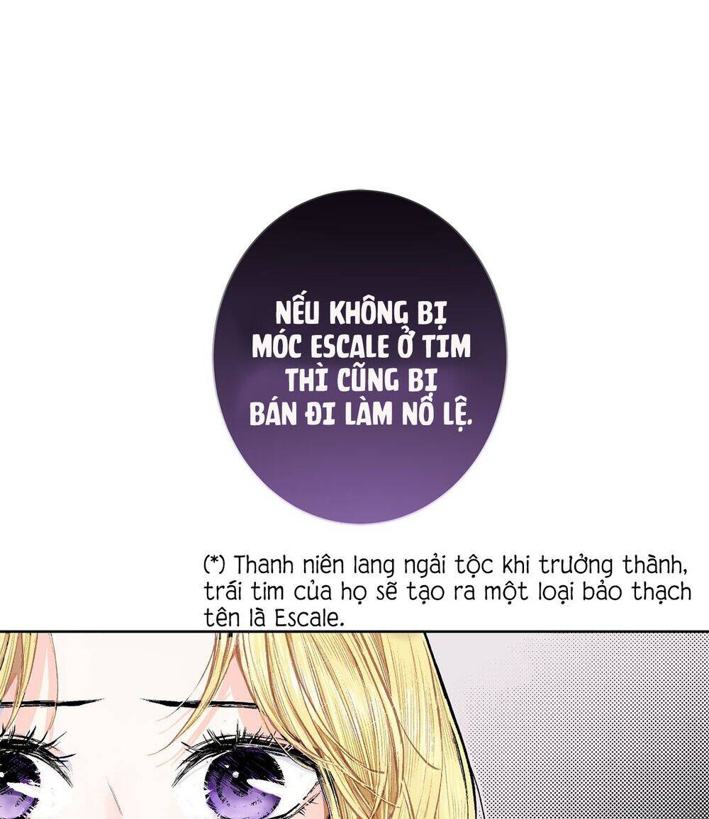 Cuộc Phản Công Của Nàng Hầu Chapter 3 - Next Chapter 4