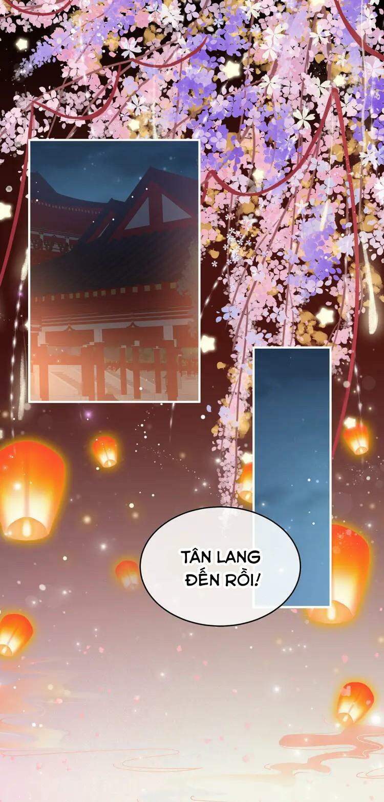 Kiều Phu Có Hỉ Chapter 49 - Next Chapter 50