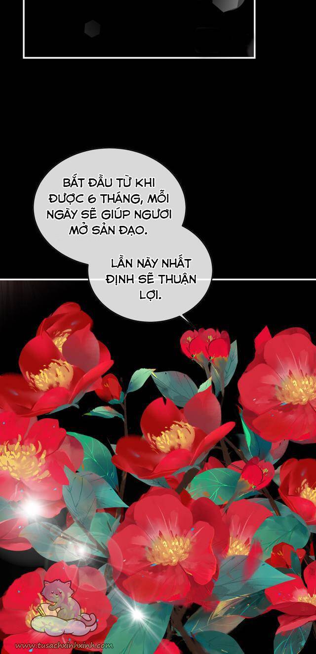 Kiều Phu Có Hỉ Chapter 53 - Next Chapter 54