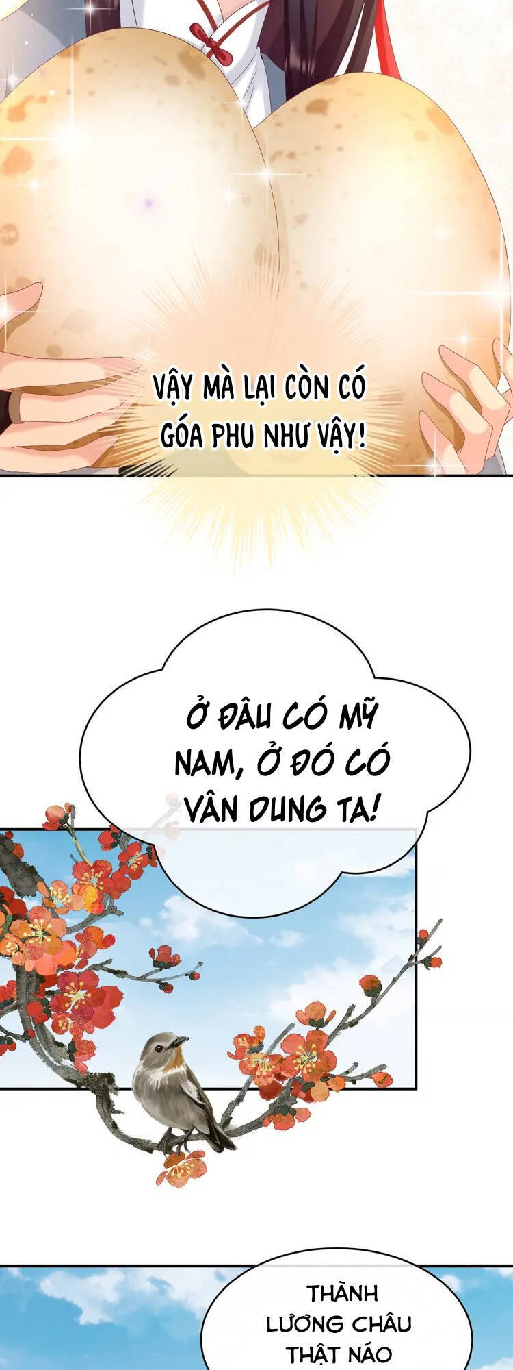 Kiều Phu Có Hỉ Chapter 61 - Next Chapter 62