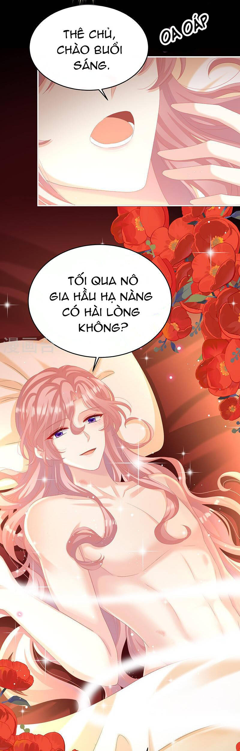 Kiều Phu Có Hỉ Chapter 67 - Next Chapter 68