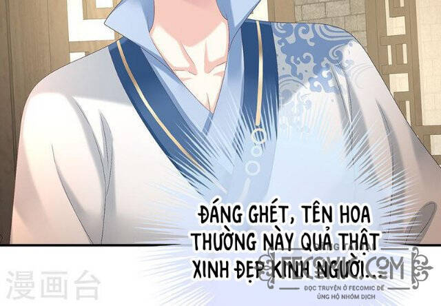 Kiều Phu Có Hỉ Chapter 68 - Next Chapter 69