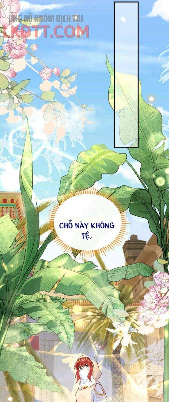 Xuyên Đến Ai Cập : Trở Thành Cô Dâu Của Vương Chapter 25 - Next Chapter 26