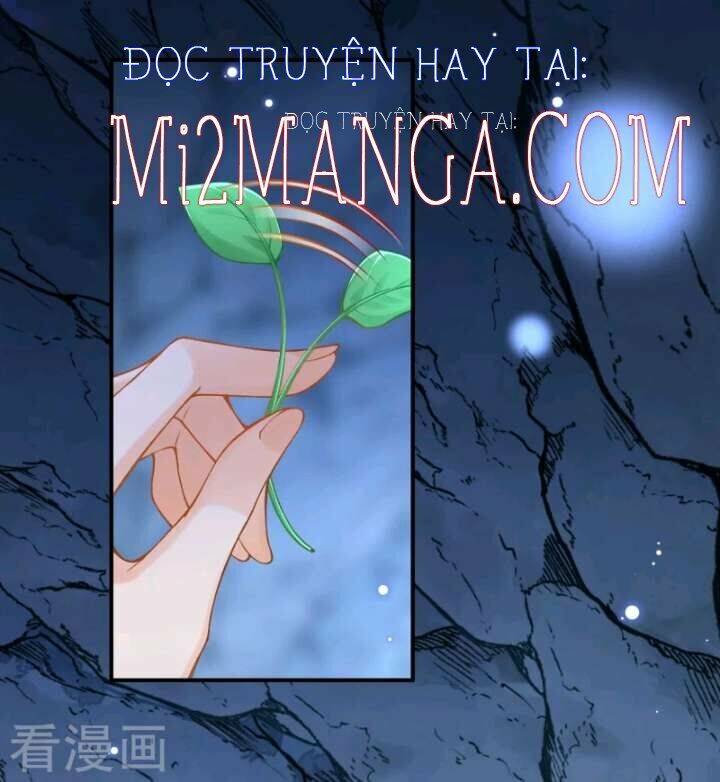 Xuyên Đến Ai Cập : Trở Thành Cô Dâu Của Vương Chapter 44 - Next Chapter 45