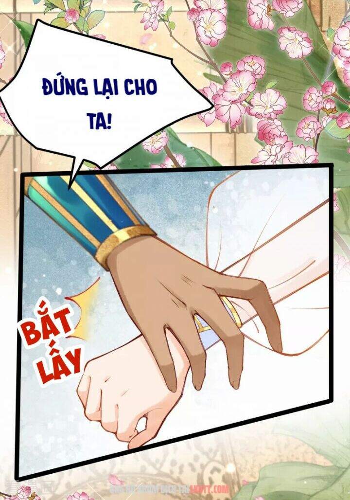 Xuyên Đến Ai Cập : Trở Thành Cô Dâu Của Vương Chapter 7 - Next Chapter 8