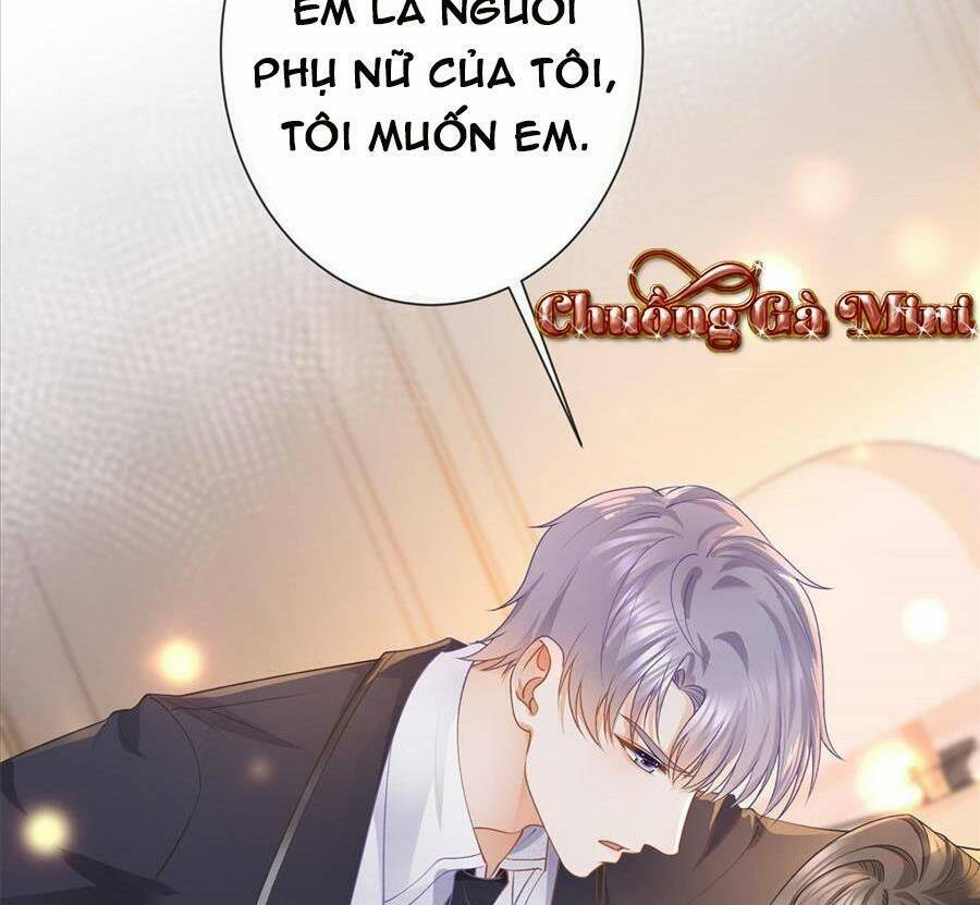 Boss Sát Thủ Dưỡng Hồ Yêu Chapter 27 - Next Chapter 28