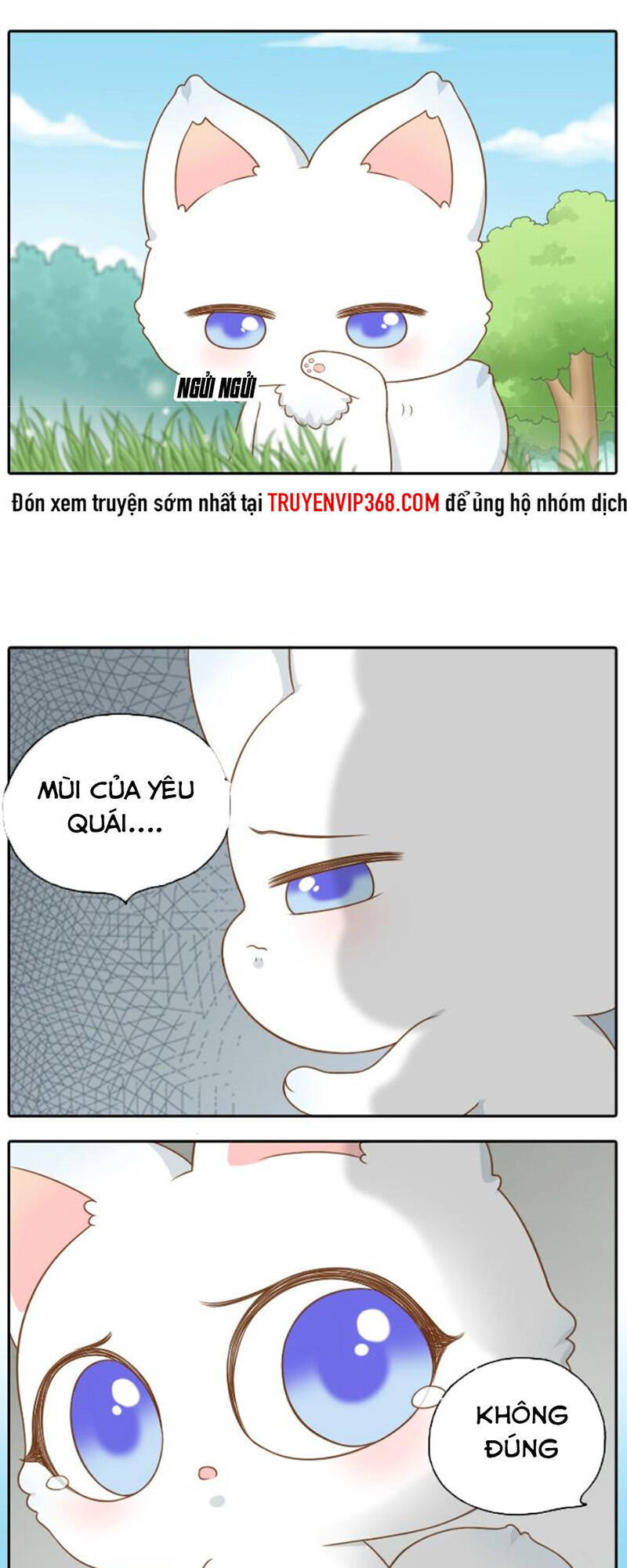 Tiểu Hoà Thượng - Chào Mừng Đến Trấn Yêu Quái Chapter 43 - Next Chapter 44