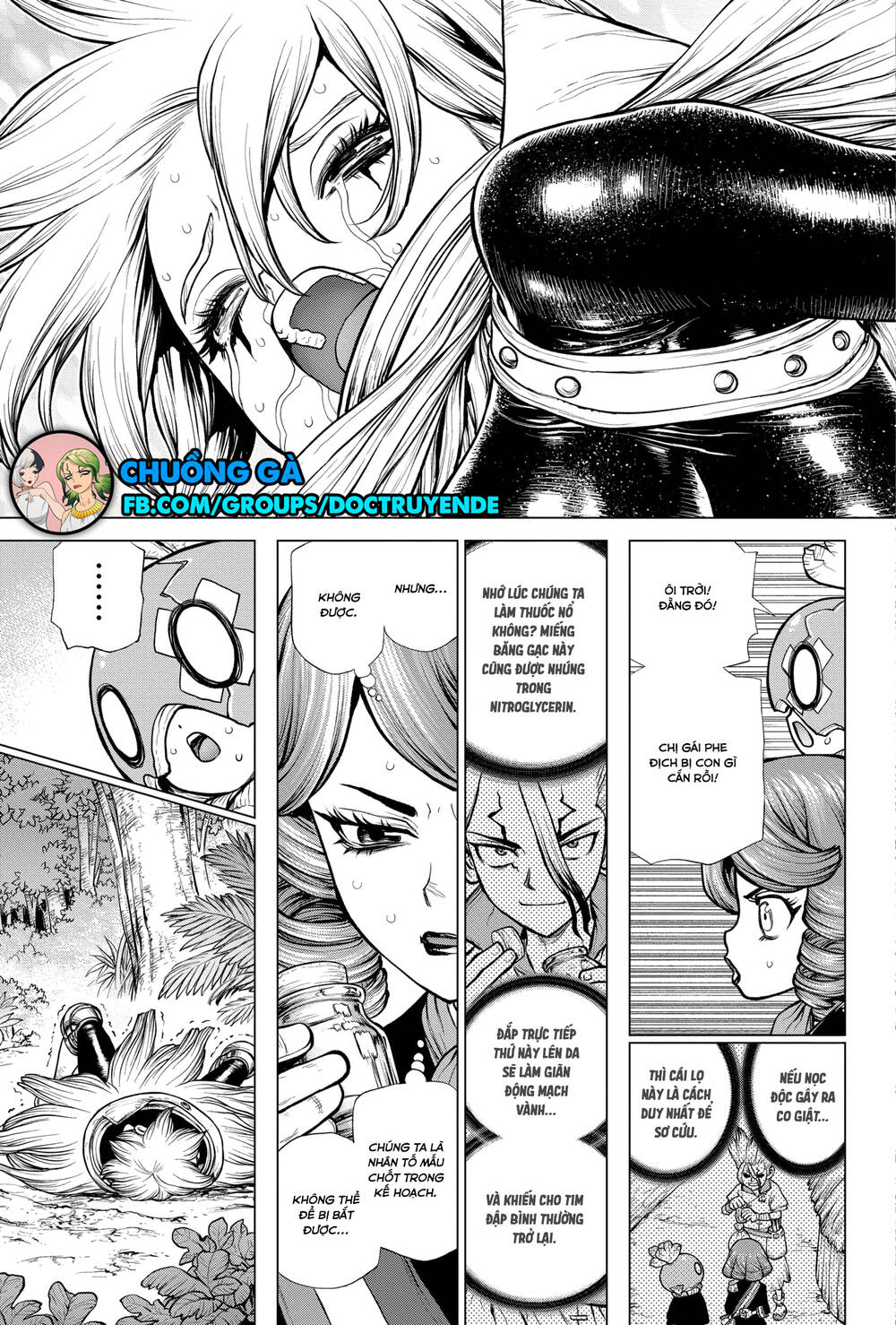 Dr.stone Chapter 185 - Next 