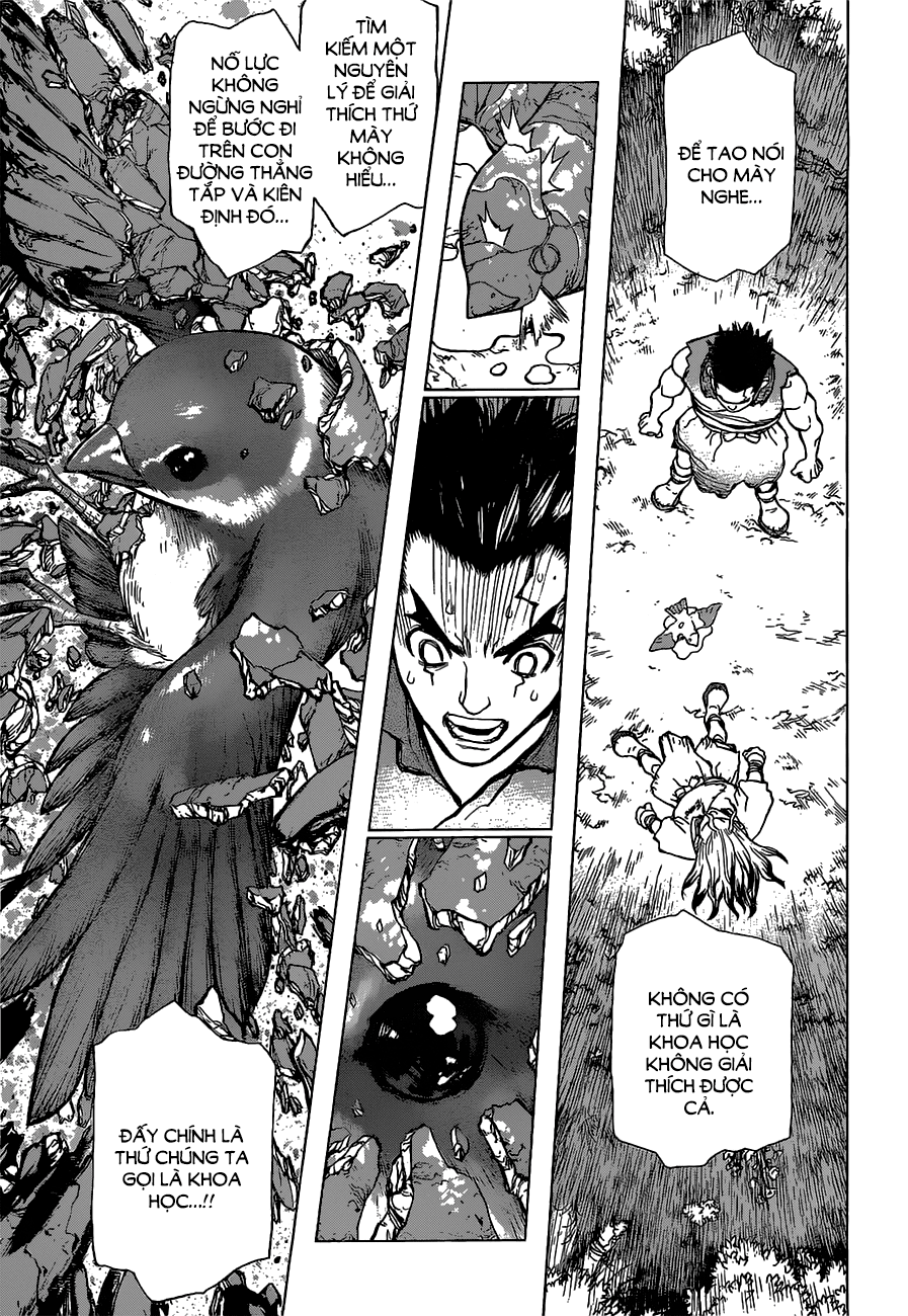 Dr.stone Chapter 2 - Next 