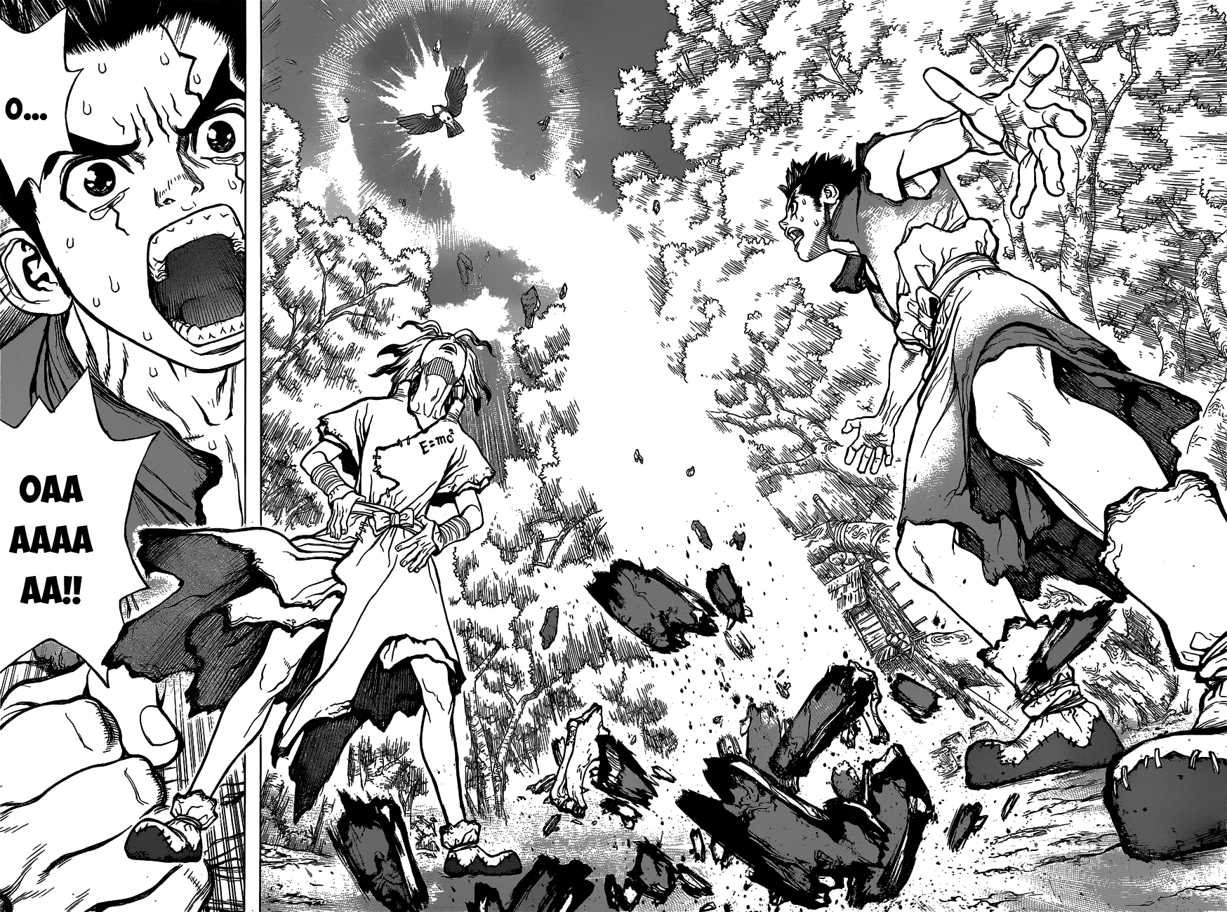 Dr.stone Chapter 2 - Next 