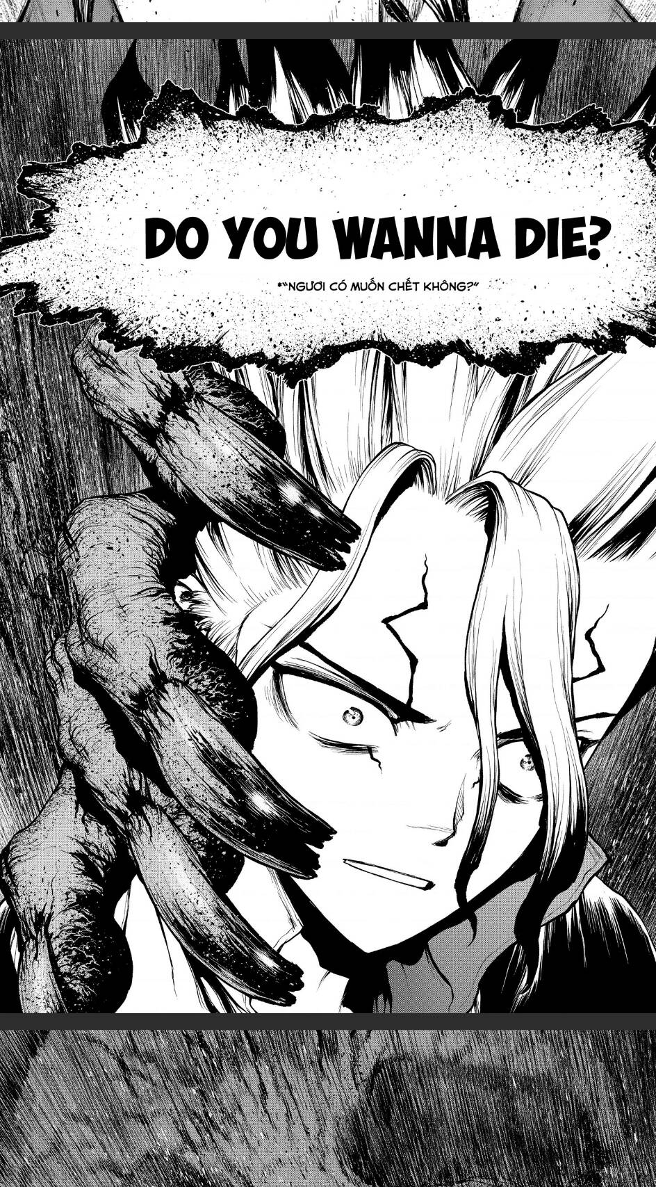 Dr.stone Chapter 201 - Next 