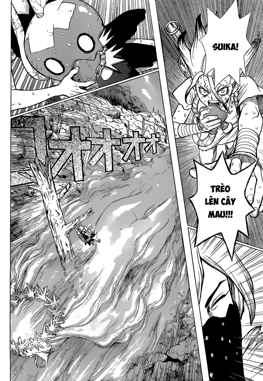 Dr.stone Chapter 49 - Next 