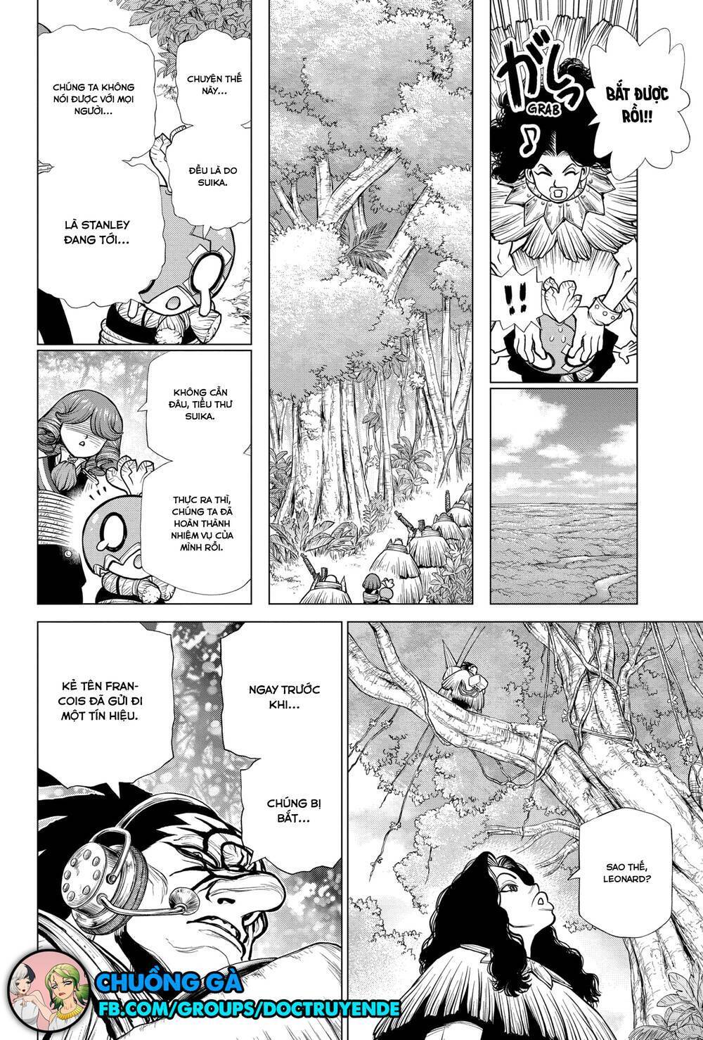 Dr.stone Chapter 186 - Next 