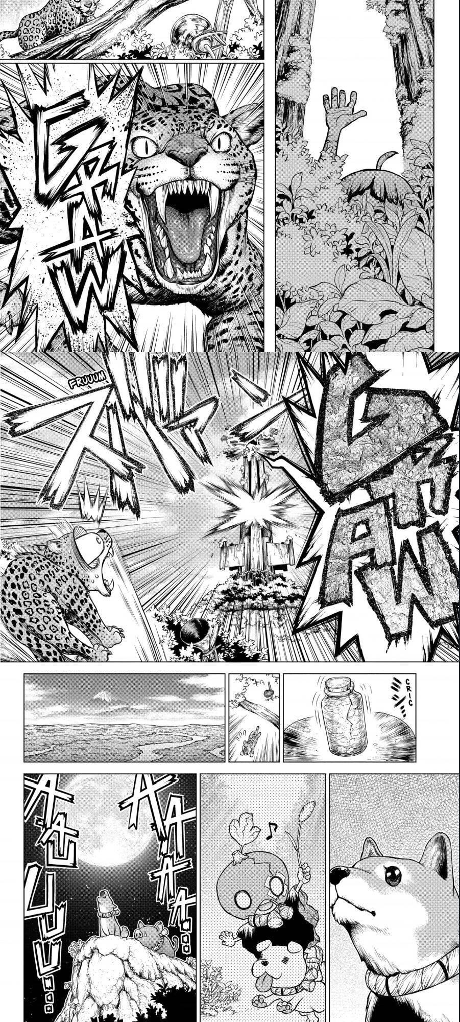 Dr.stone Chapter 194 - Next 