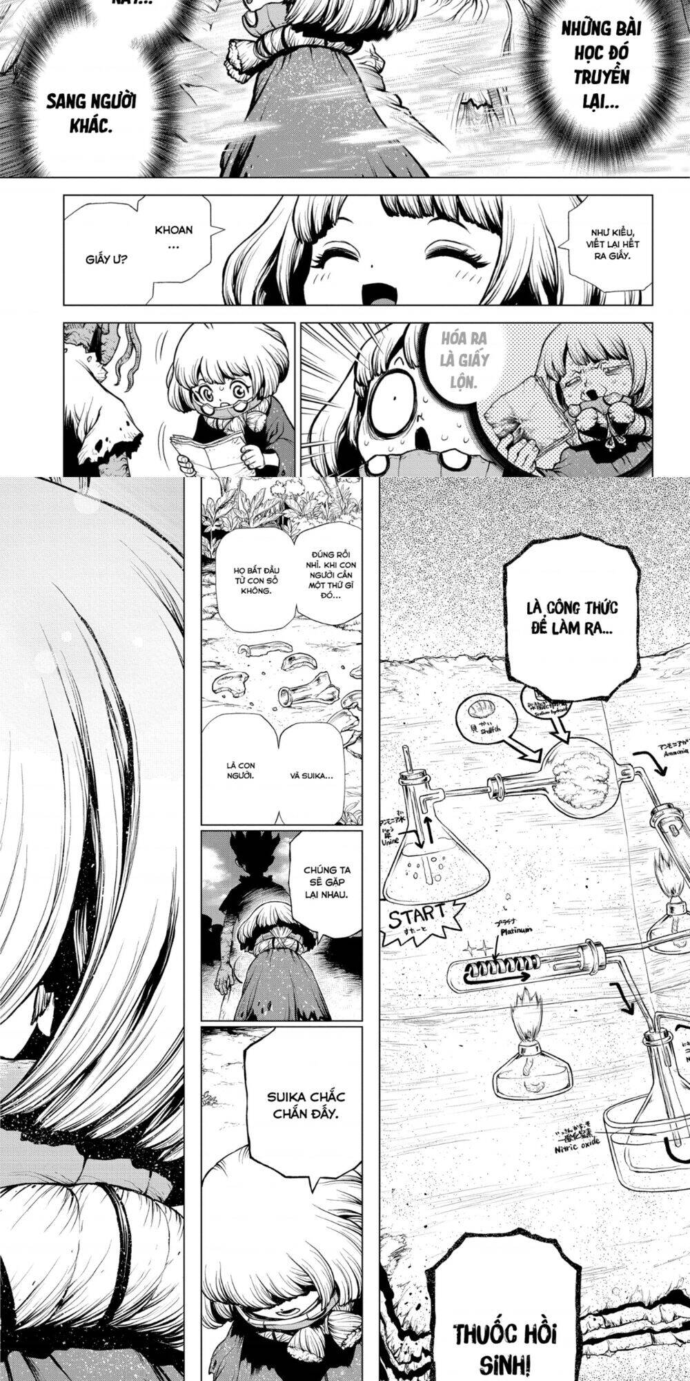 Dr.stone Chapter 195 - Next 