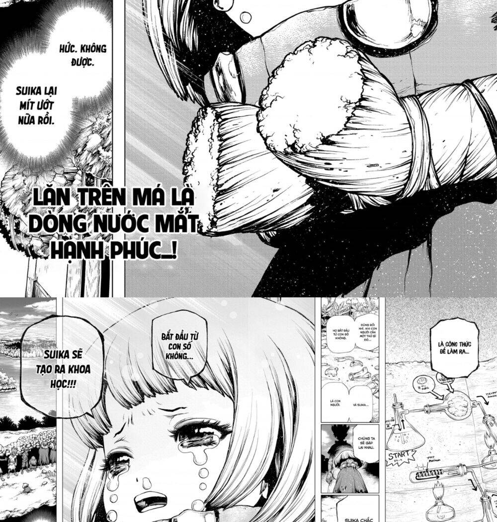 Dr.stone Chapter 195 - Next 