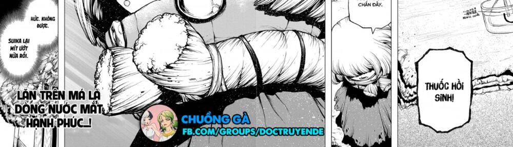 Dr.stone Chapter 195 - Next 