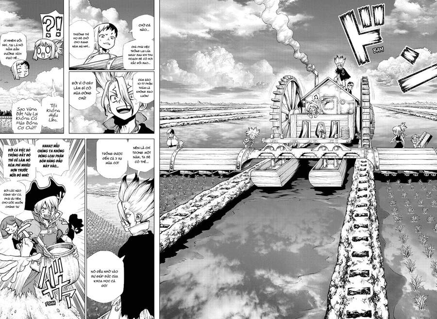 Dr.stone Chapter 211 - Next 