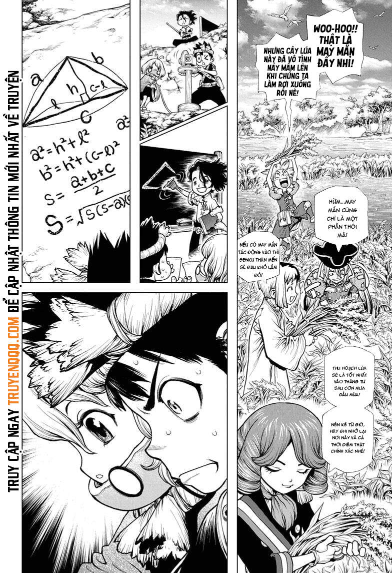 Dr.stone Chapter 211 - Next 