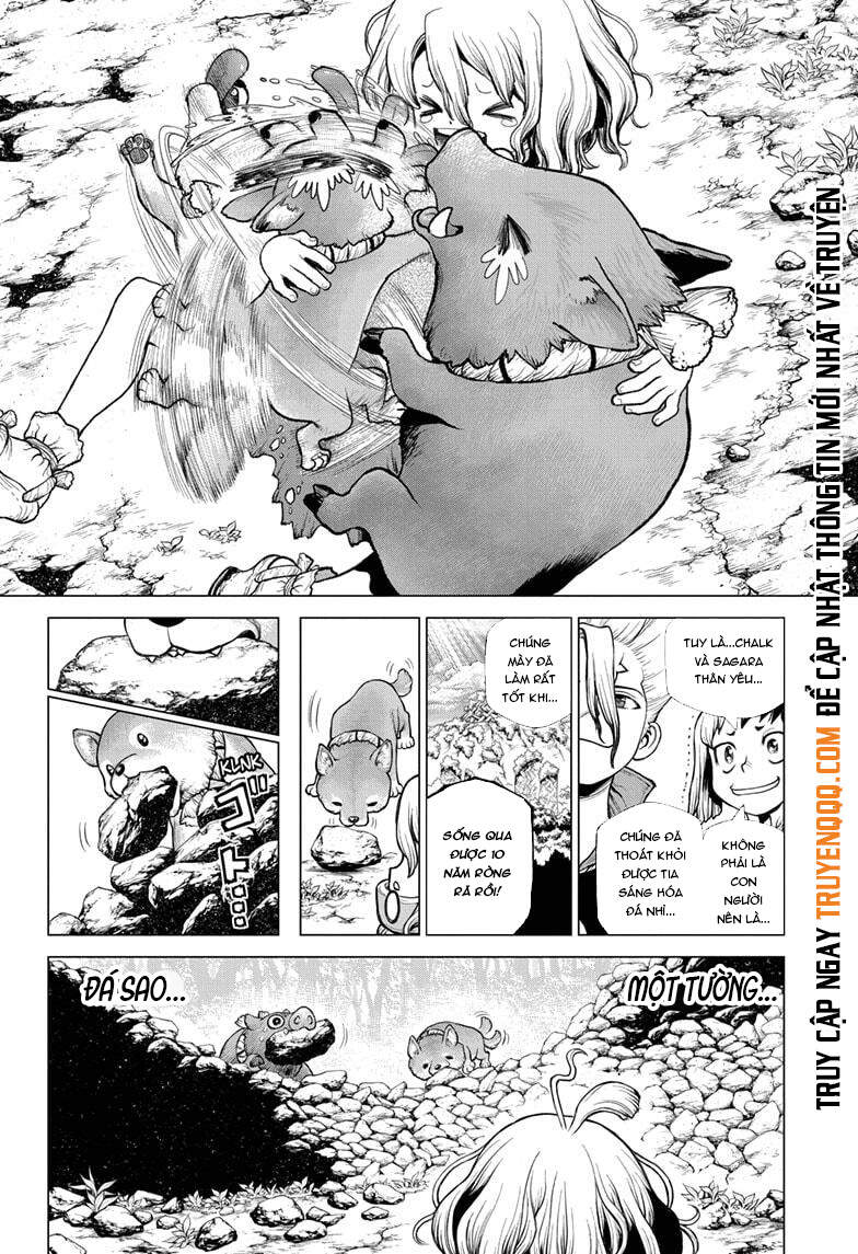 Dr.stone Chapter 212 - Next 