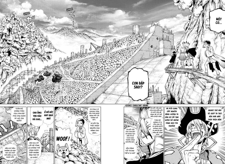 Dr.stone Chapter 212 - Next 