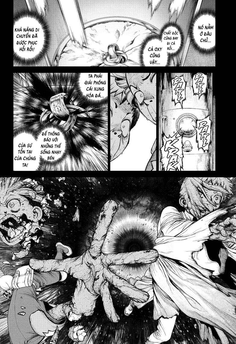 Dr.stone Chapter 230 - Next 