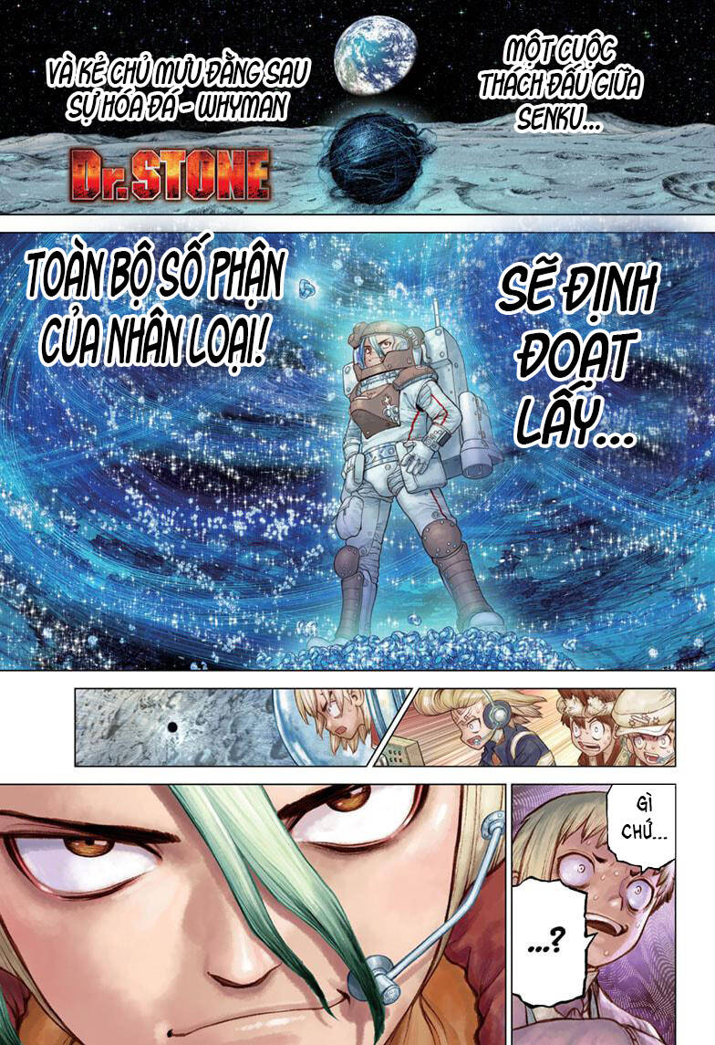 Dr.stone Chapter 231 - Next 