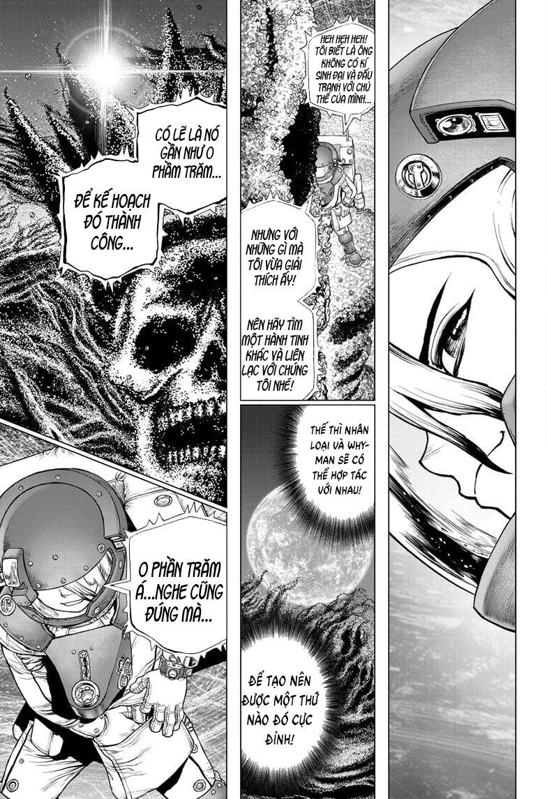 Dr.stone Chapter 231 - Next 