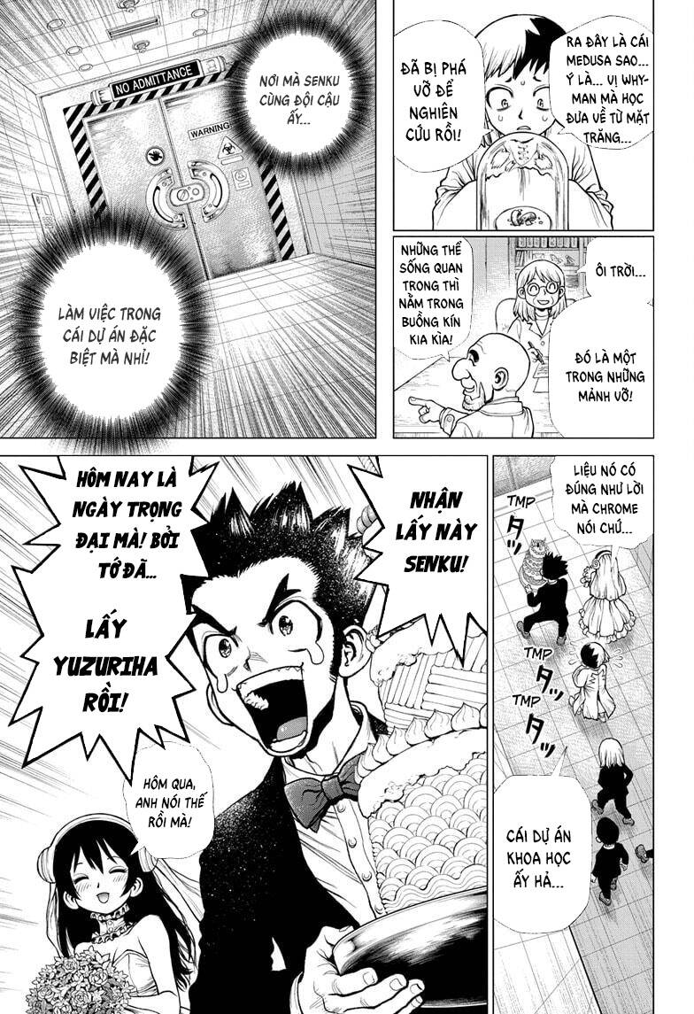 Dr.stone Chapter 232 - Next 